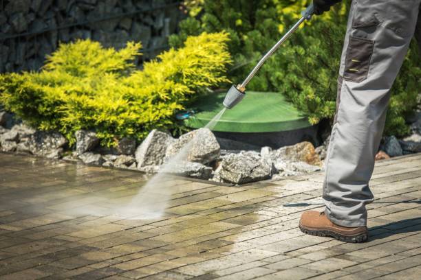 Best Factory Floor Cleaning  in Lacoochee, FL