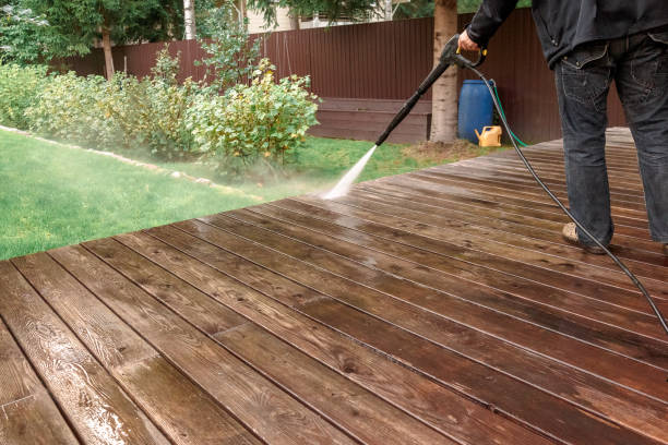 Best Soft Washing  in Lacoochee, FL