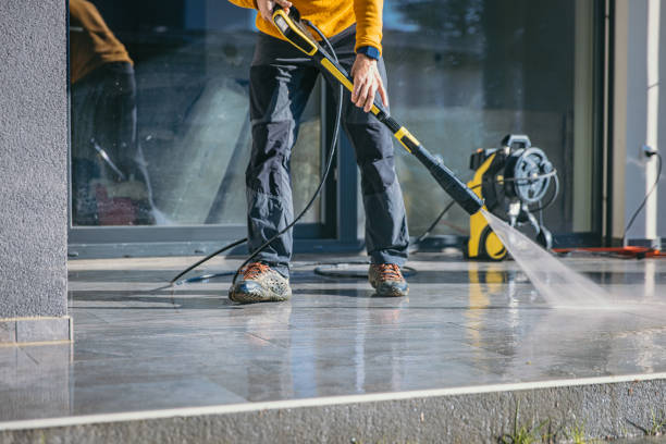 Best Roof Washing  in Lacoochee, FL