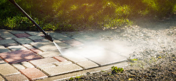 Best Solar Panel Cleaning  in Lacoochee, FL